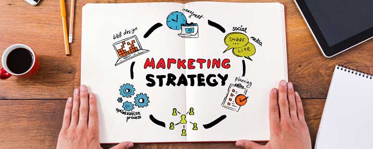 What Can You Do With A Marketing Degree? - Latest News